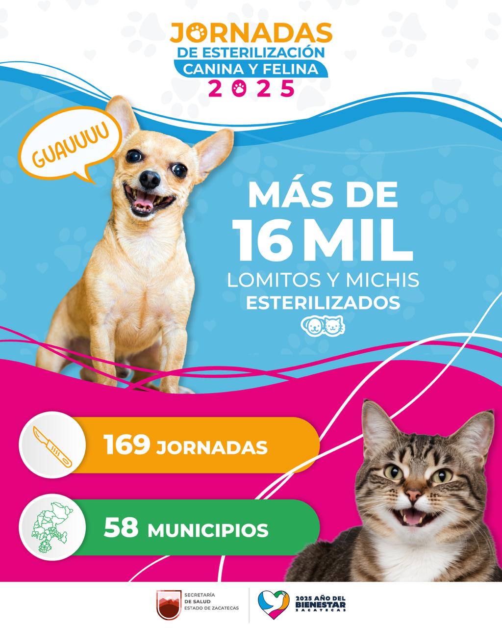 Realiza Gobierno de Zacatecas más de 16 mil esterilizaciones de perros y gatos en 2025