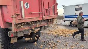 Lanzan agricultores franceses patatas frente al Parlamento en protesta por acuerdo UE-Mercosur