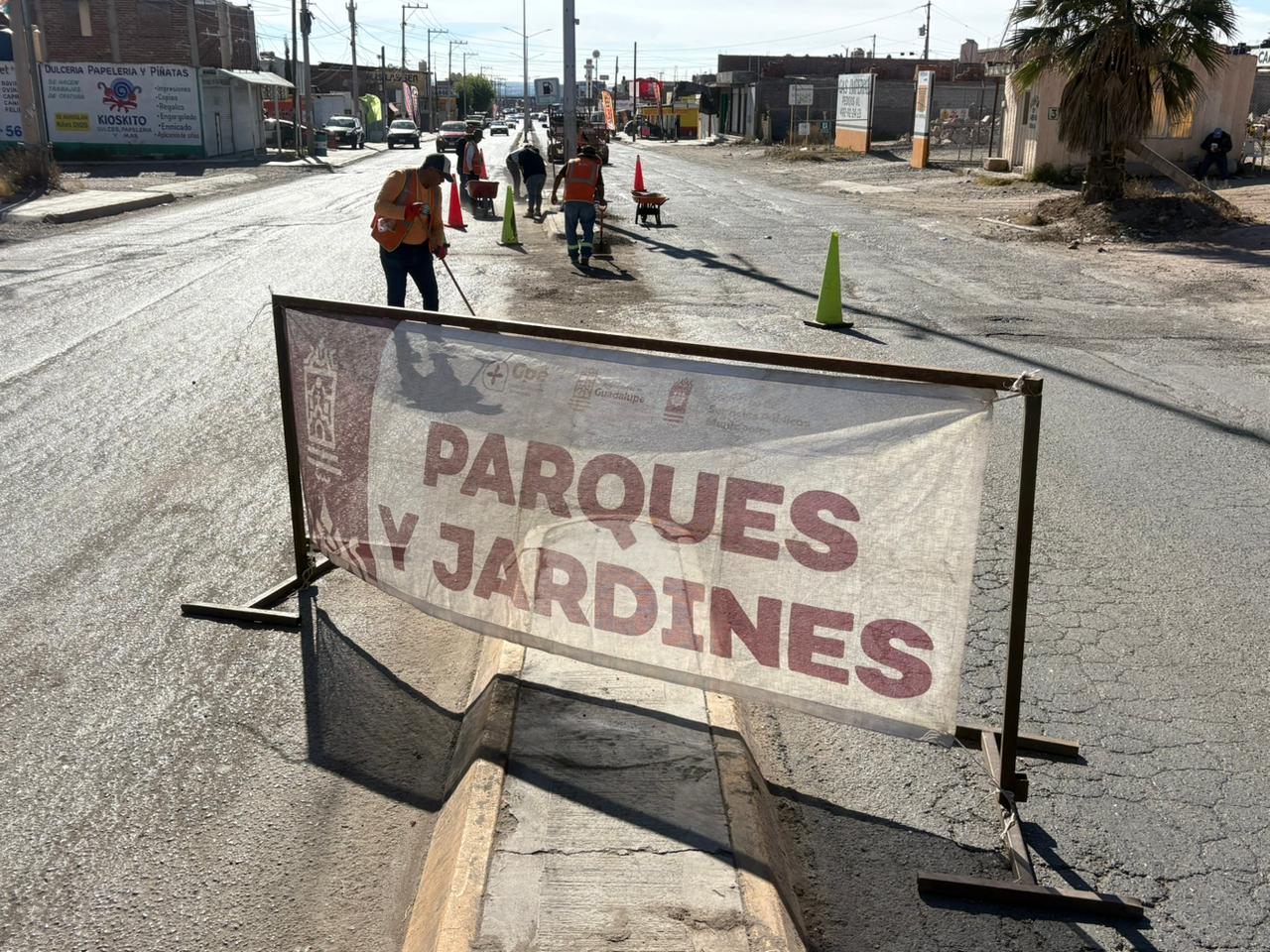 Mejoran iluminación y dan mantenimiento a camellones de 12 colonias en Guadalupe