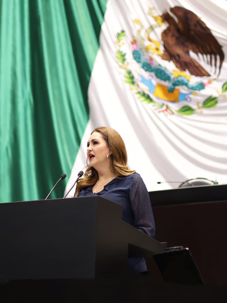 GEOVANNA BAÑUELOS: URGE PROTECCIÓN INMEDIATA PARA MENORES DEPORTADOS A ZACATECAS